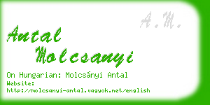 antal molcsanyi business card